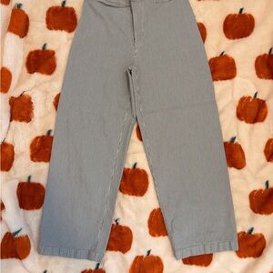 Madewell Striped Wide Leg Pants - Blue and White